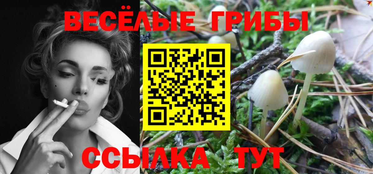 Псилоцибиновые грибы мухоморы  Вход с VPN  Елизово 