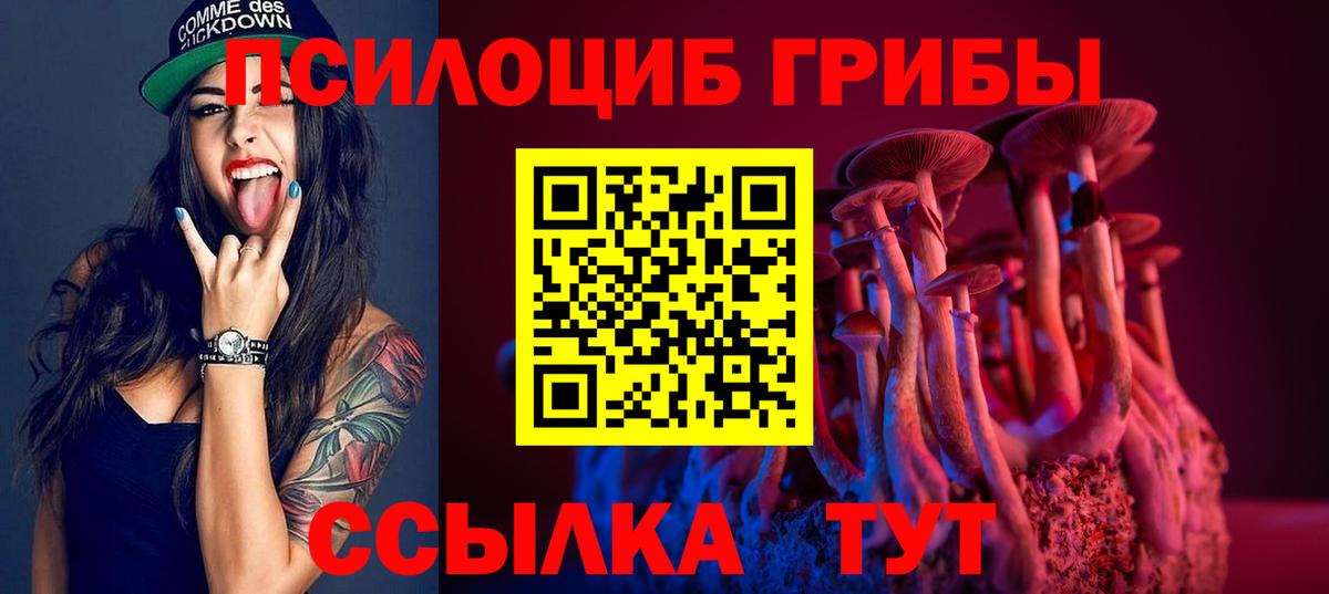 Псилоцибиновые грибы MAGIC MUSHROOMS Елизово